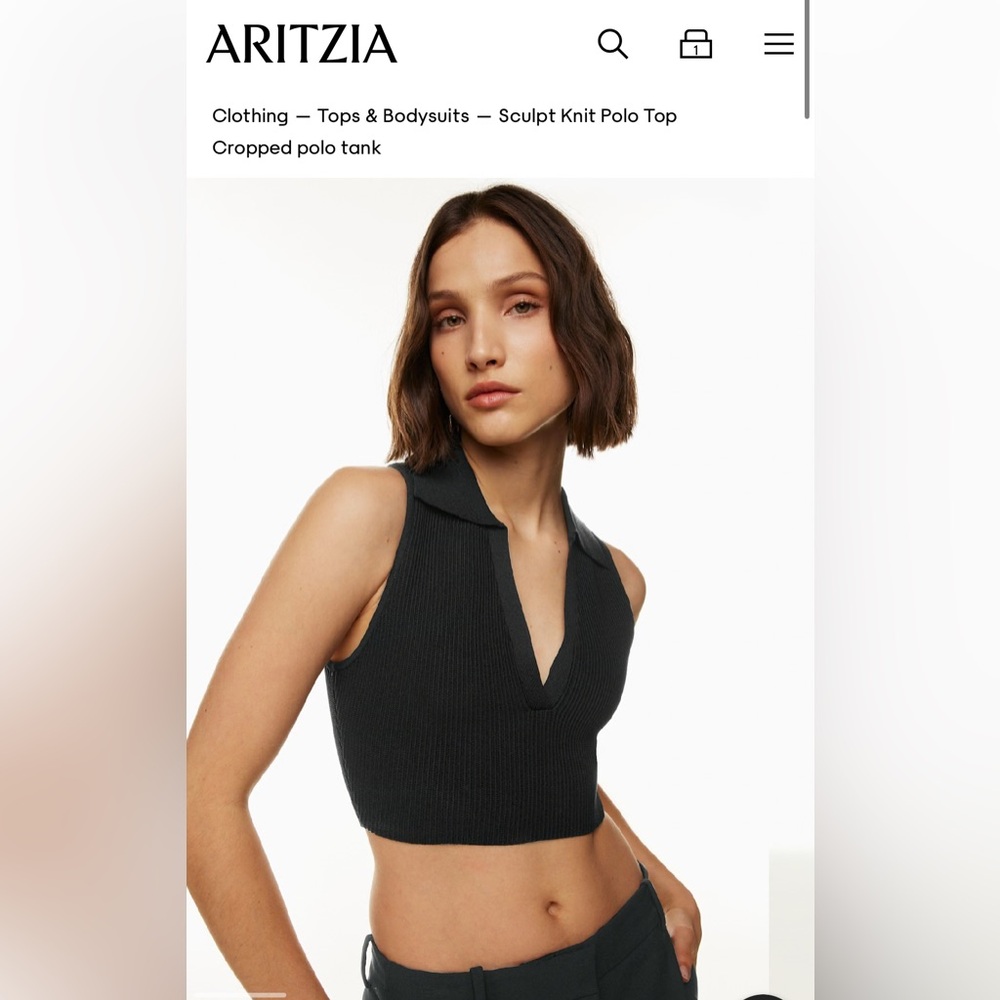 Aritzia Ribbed Polo Top